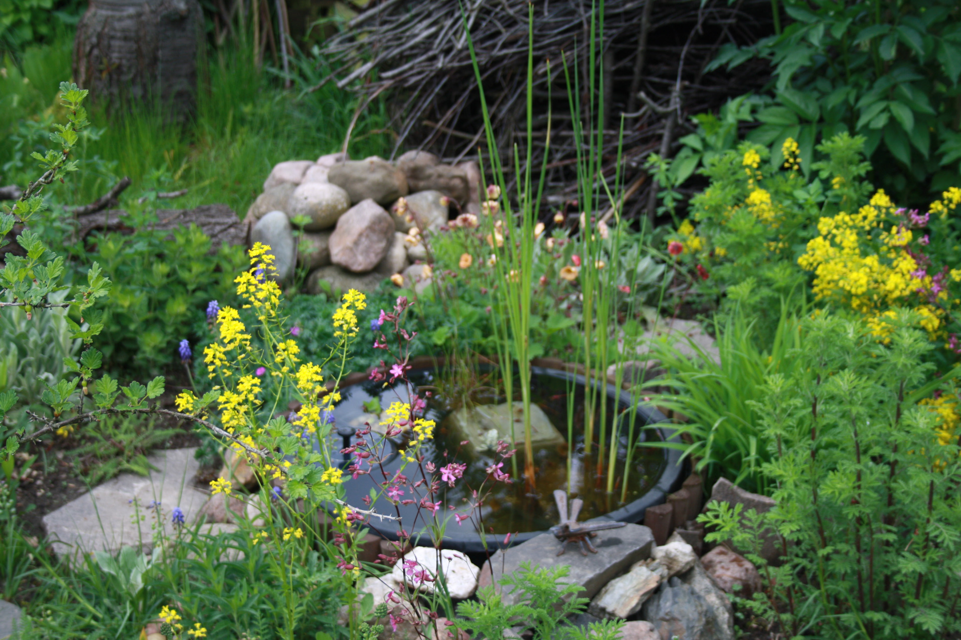 Garten 1
