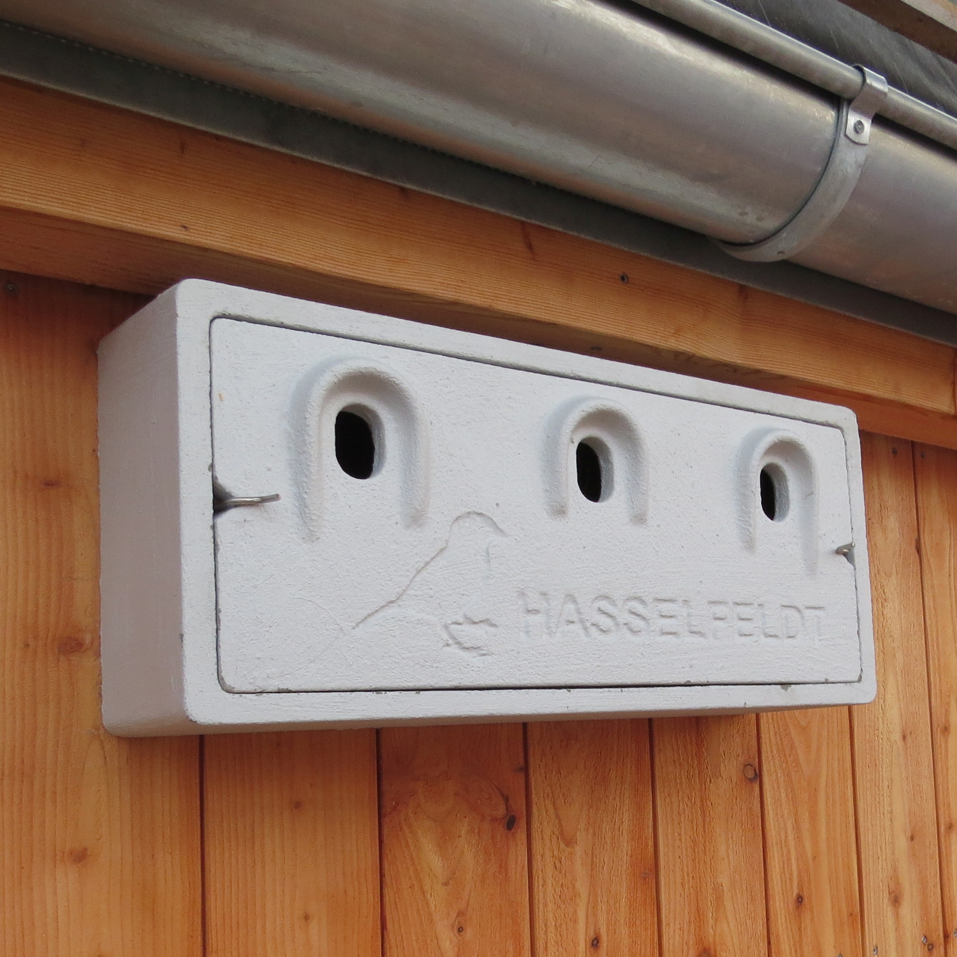 03 Sperlingskoloniekasten Breitschuhstraße31